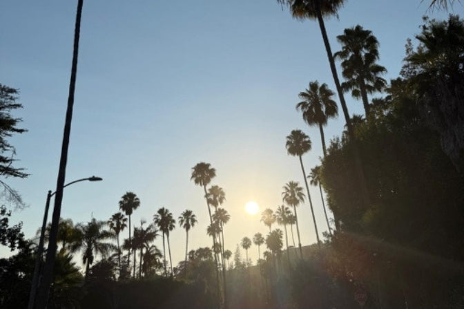 Leaving Los Angeles