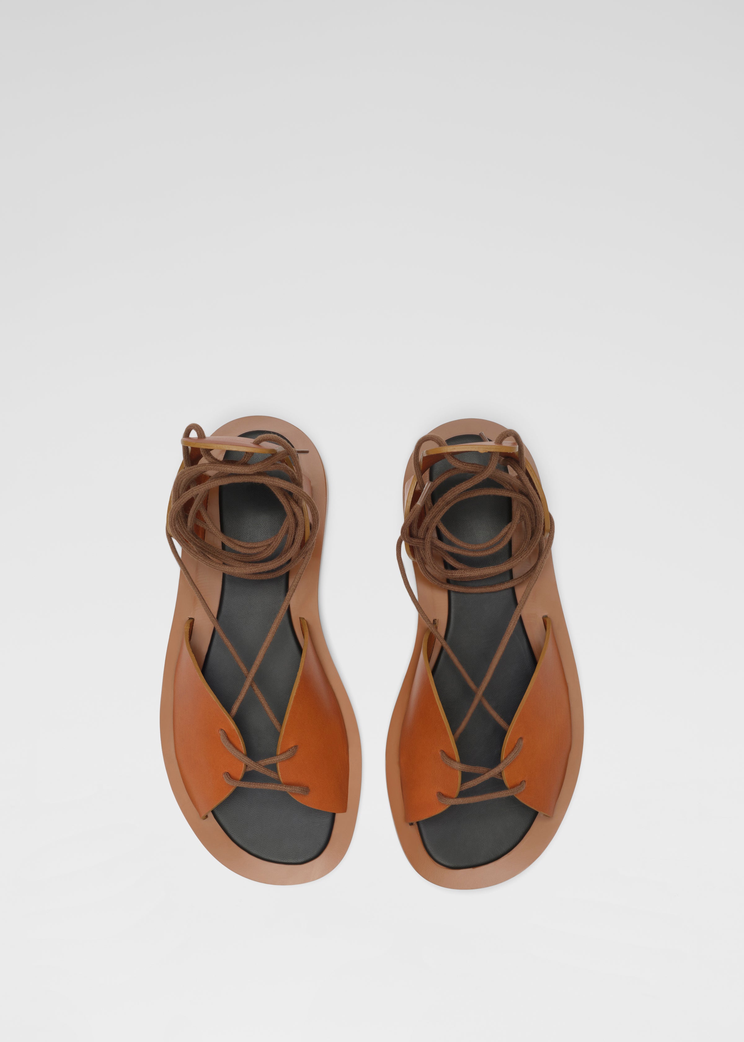 Gladiator Sandal in Leather - Chestnut - CO Collections